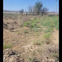 ۲۲۰۰مترزمین نبش اتوبان بناب به عجب شیر با بر۳۰ متر|فروش زمین و ملک کلنگی|بناب, |دیوار