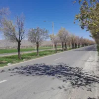 حرکت بسمت شیراز