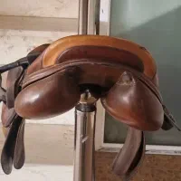 زین پرستیژ|اسب و تجهیزات اسب‌سواری|اقبالیه, |دیوار