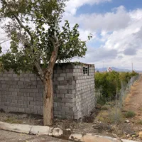 فروش باغ ۷۰۰ متری|فروش زمین و ملک کلنگی|فردوس (خراسان), |دیوار