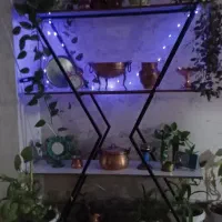 استند جای گل ودکوری|کتابخانه، شلف، قفسه‌های دیواری|وحیدیه, |دیوار