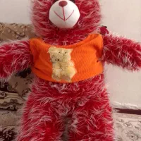 عروسک شاسی بزرگ