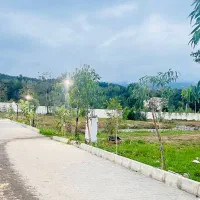 زمین ۶۰۰متری سنددار شهرک با اصالت سیسنگان|فروش زمین و ملک کلنگی|نوشهر, |دیوار