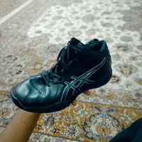 کفش والیبال|کیف، کفش، کمربند|کلاله, |دیوار