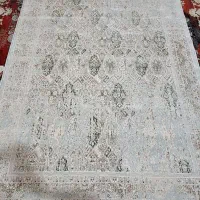 جفت ۶ متری سبز فیلی نوآکبند۷۰۰ شانه تراکم ۲۴۰۰|فرش|مشهد, شهید مطهری|دیوار