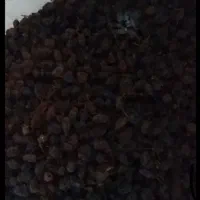 فروش کشمش افتابی بیدانه خشک درجه ۱