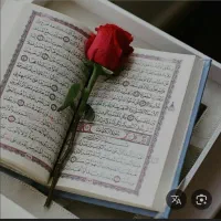 طالع ببینی و سرکتاب قرانی