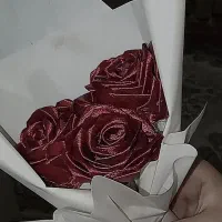 رز روبانی روز مادر