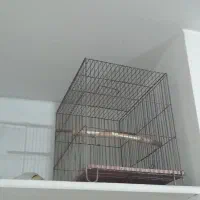 دوعدد قفس با لوازم