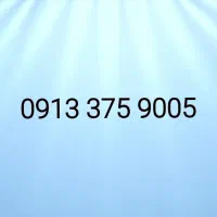 09133759005