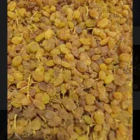 فروش کشمش زرد و درجه1|خوردنی و آشامیدنی|قوچان, |دیوار