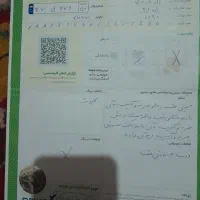 پژو206sd|خودرو سواری و وانت|فردیس, خیام غربی|دیوار