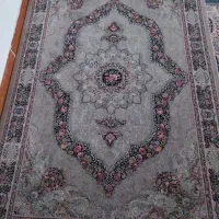 فرش ۷۰۰ شانه ۴ متری نو نو|فرش|تهران, شوش (باغ آذری)|دیوار