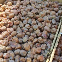 خرمای برحی|خوردنی و آشامیدنی|قم, جمکران|دیوار