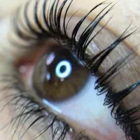 نیازمند چند مدل برای لیفت و‌لمینت مژه و‌ابرو