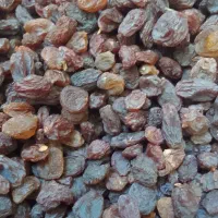 کشمش بیدانه آفتابی تاکستان تمیز(فقط آبگیری دارم )|خوردنی و آشامیدنی|تهران, شهرک ولیعصر شمالی|دیوار
