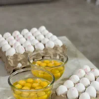 نیروی خدماتی