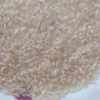 برنج شمشیری و عنبر بو  تنگه شمشه روستای هلسم|خوردنی و آشامیدنی|ایلام, |دیوار