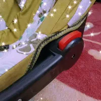 کریر نوزاد|کالسکه و لوازم جانبی|شیراز, پودنک|دیوار
