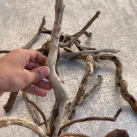 چوب (ریشه)اکواریوم