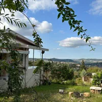 اجاره ویلا جنگلی دربست با ویو عالی