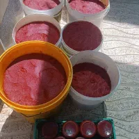 رب‌گوجه‌فرنگی