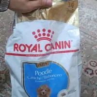 Royal Canin|لوازم جانبی حیوانات|تهران, شهرک چیتگر|دیوار