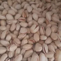 پسته|خوردنی و آشامیدنی|نیشابور, گنبد سبز|دیوار