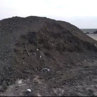 توزیع کود حیوانی گوسفند گاوی