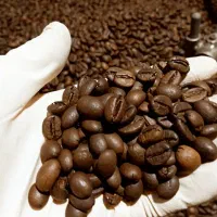 نیروی کار در کافی شاپ