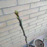 وقتشه|گردهمایی و همایش|یزد, |دیوار