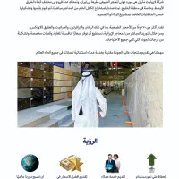 طراحی سایت، کارت ویزیت، کاتالوگ بروشور، بنر، پوستر|خدمات رایانهای و موبایل|بندرعباس, |دیوار