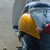 هندا اسکوپی|موتورسیکلت|مهر, |دیوار