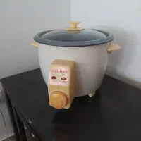 پلوپز6نفره سالم