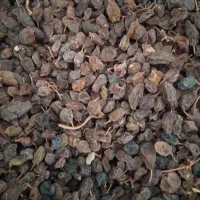 کشمش آفتابی بدون تیزاب|خوردنی و آشامیدنی|نجف‌آباد, امام خمینی|دیوار