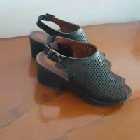کفش شیک