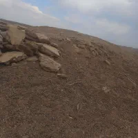 کود «کدم»فروشی