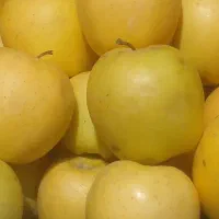 سیب درختی سوپر لوکس زرد قرمر و ابگیری و سرکه ای