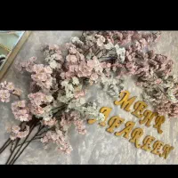 اجاره لاین سالن زیبایی