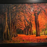 تابلو عکس زیبا(چراغدار)