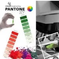 کاغذ دیواری پنتونکست