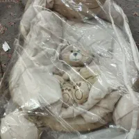 تشک گارددار خرسی