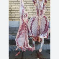 گوشت بره و بزغاله  باکیفیت اینجاست