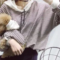 لباس سگ ست|لوازم جانبی حیوانات|تهران, زعفرانیه|دیوار