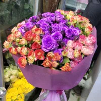 رز مینیاتوری بسته ای فقط ۴۵۰|گل و گیاه طبیعی|شیراز, خلدبرین|دیوار