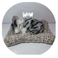 اسباب بازی های جذاب|اسباب‌‌بازی|شیراز, شهرک مدرس|دیوار