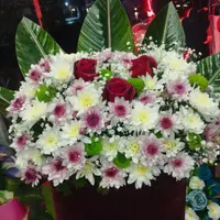 ماشین عروس|گل و گیاه طبیعی|مشهد, شهید بهشتی|دیوار