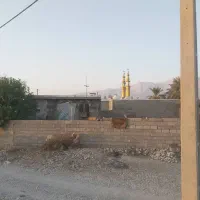 فروش خانه ویلایی در حاجی آباد سرچاهان|فروش خانه و ویلا|حاجی آباد, |دیوار