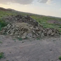 فروش کود گوسفندی چندساله در روستای جنداب