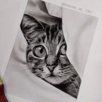 سفارش تابلو سیاه قلم